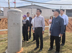 摸索绿色轮回成长模