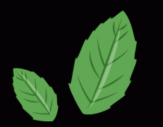 区消委会工做人员向现场群众普及常见食物消费