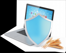 <b>为鞭策食物平安向系理升入多元、内生、韧性动</b>